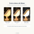 Les trois teintes de blanc de la veilleuse Piou Candeora : chaud, neutre et franc