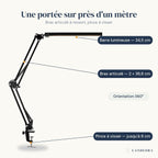 Dimensions de la lampe Méridien : barre 34,5 cm, bras articulé, pince jusqu'à 8 cm