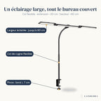 Lampe de bureau Orion : barre jusqu'à 80 cm, col flexible, pince à visser