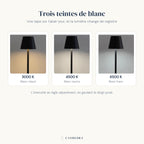 Les trois teintes de blanc de la lampe Alizé Candeora : 3000 K, 4500 K et 6500 K